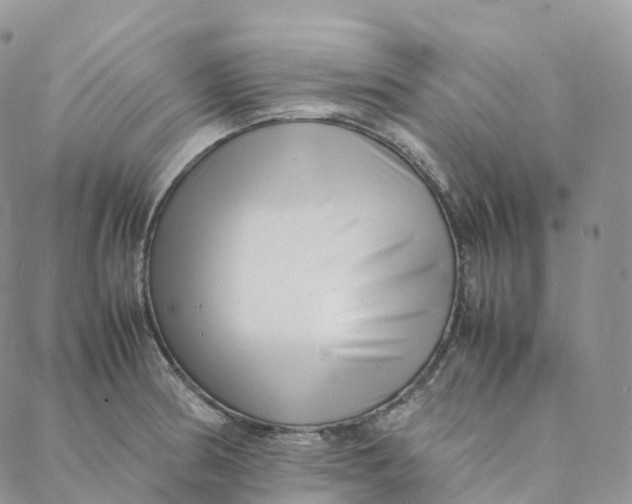 X0000088361186200706121047