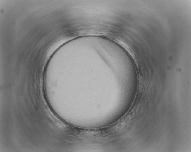 X0000088361187200706121047