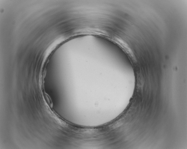 X0000088361188200706121047