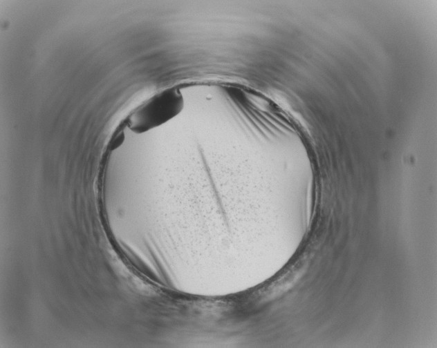 X0000088361189200706121047