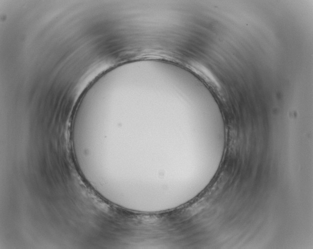 X0000088361190200706121047