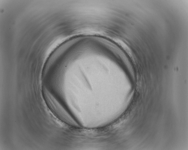 X0000088361191200706121047