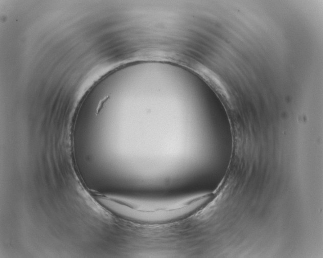 X0000088361192200706121047