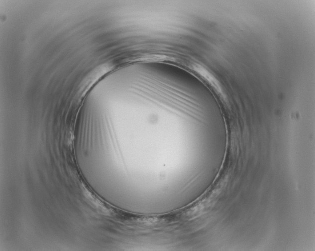 X0000088361193200706121047