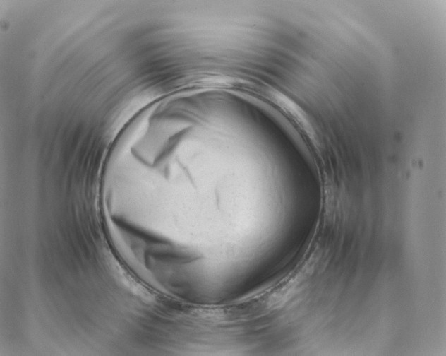 X0000088361194200706121047