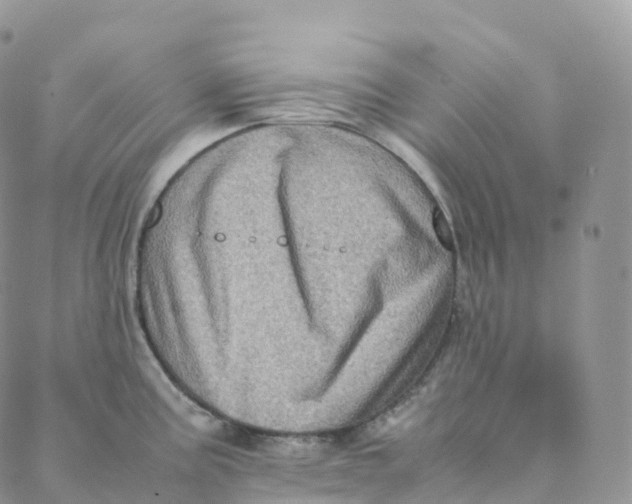 X0000088361195200706121047