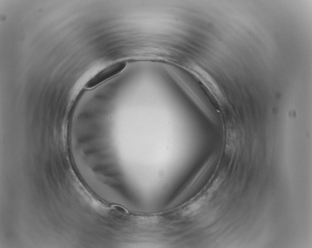 X0000088361196200706121047