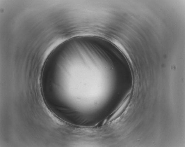 X0000088361197200706121047