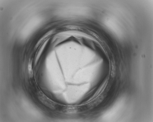 X0000088361198200706121047