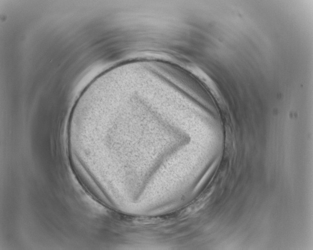 X0000088361199200706121047