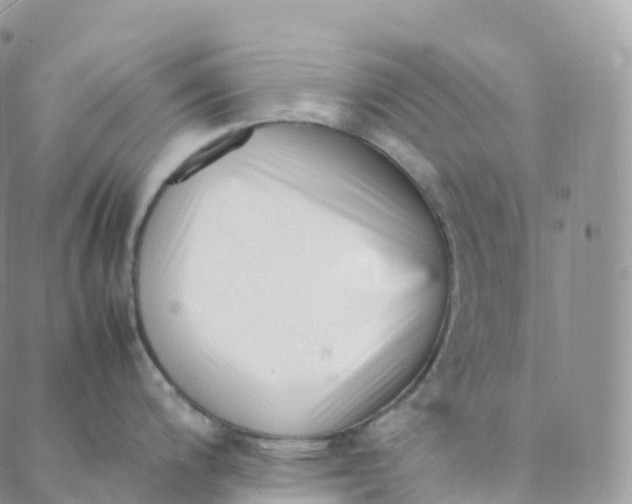 X0000088361200200706121047