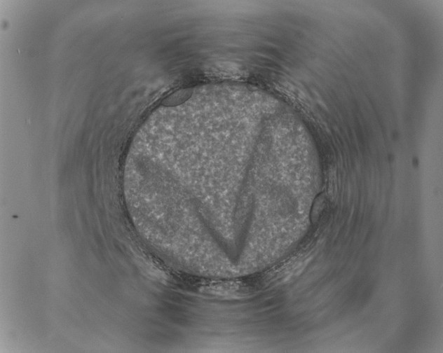 X0000088361201200706121046