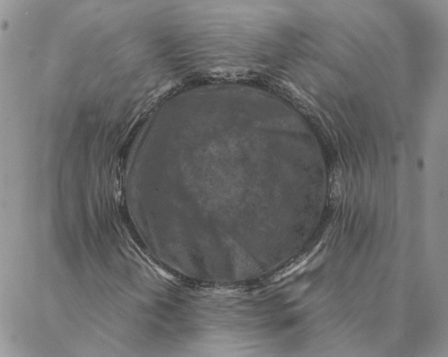 X0000088361202200706121046