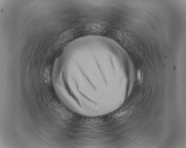 X0000088361203200706121046