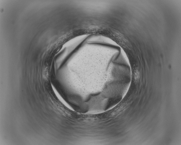 X0000088361204200706121046