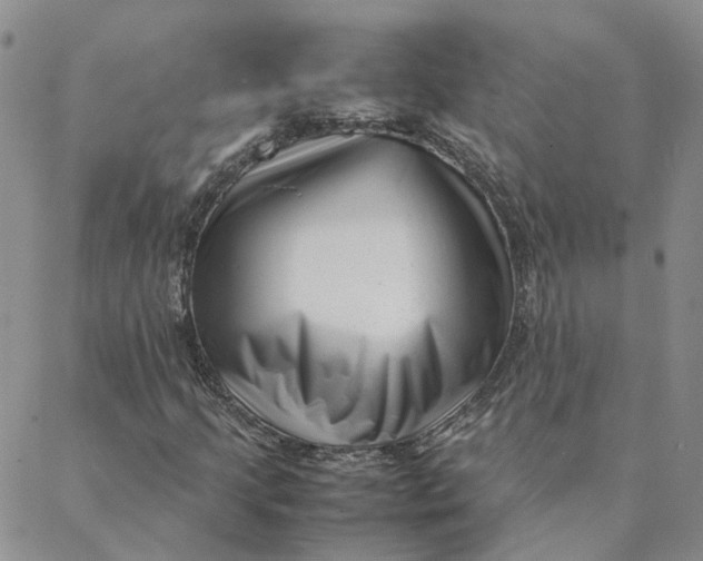 X0000088361205200706121046