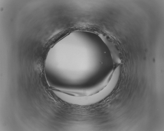 X0000088361206200706121046