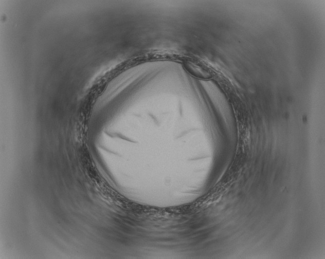 X0000088361207200706121046