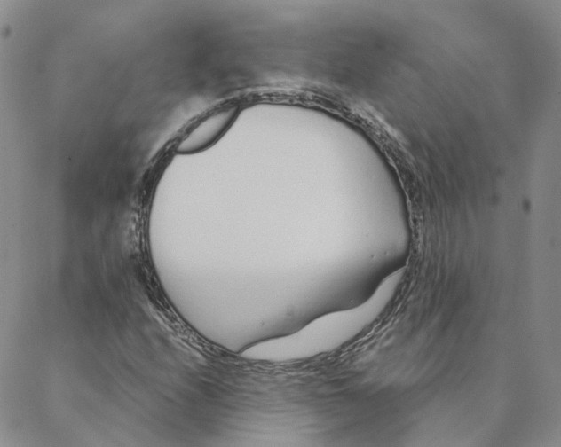 X0000088361208200706121046