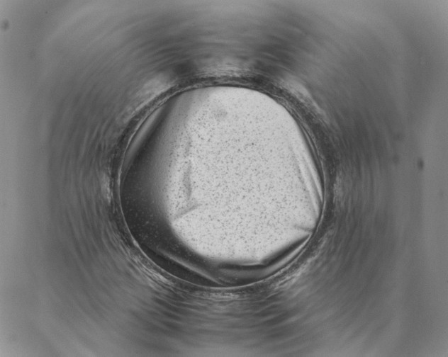 X0000088361209200706121046