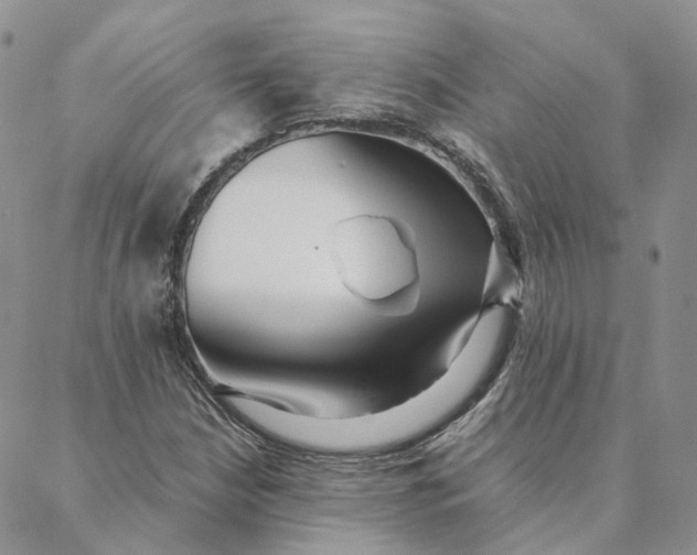 X0000088361210200706121046