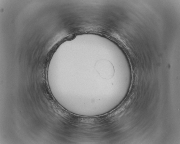 X0000088361211200706121046