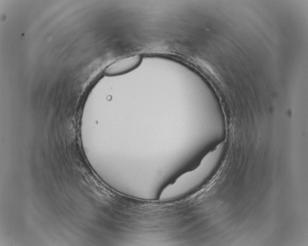 X0000088361212200706121046