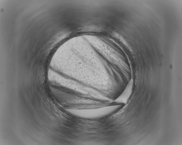 X0000088361213200706121046