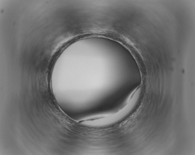 X0000088361214200706121047