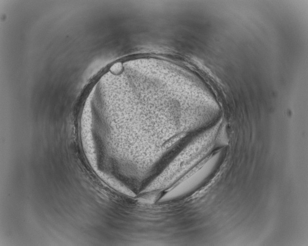 X0000088361215200706121047