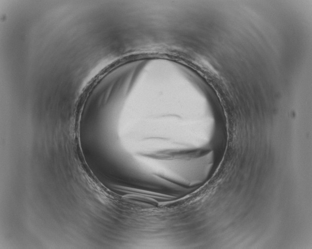 X0000088361216200706121047