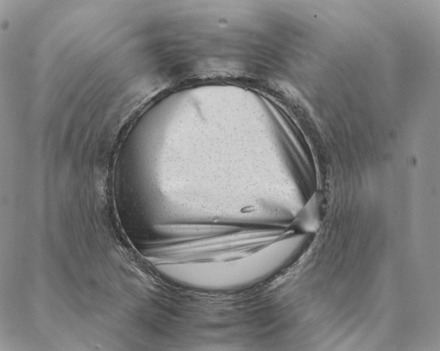 X0000088361217200706121047