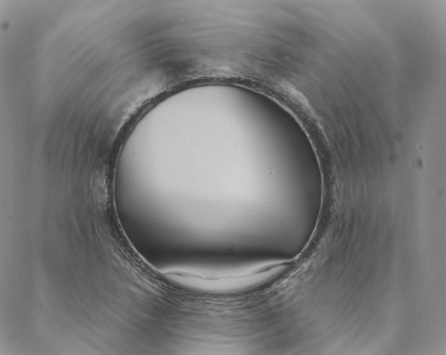 X0000088361218200706121047