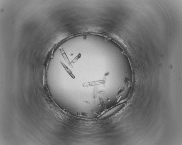 X0000088361219200706121047