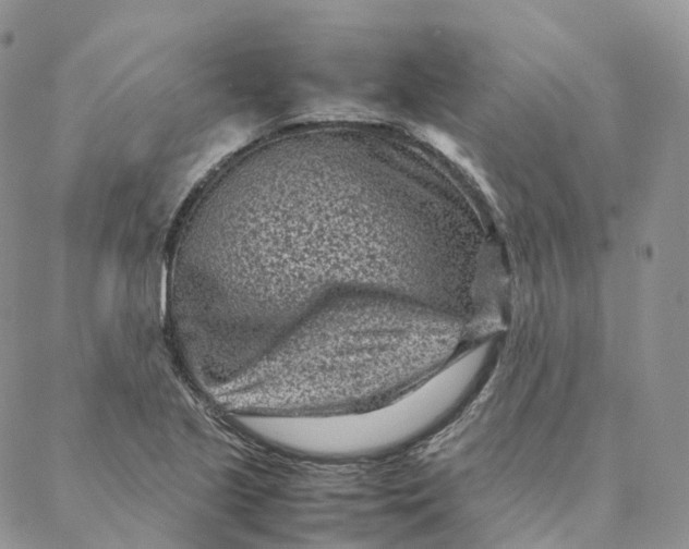 X0000088361221200706121047