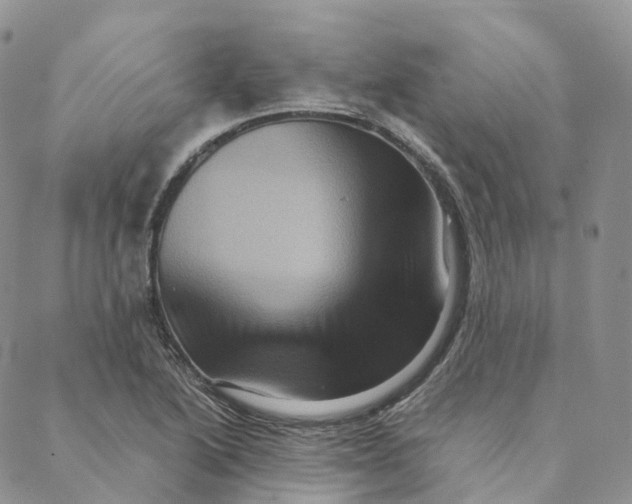 X0000088361222200706121047