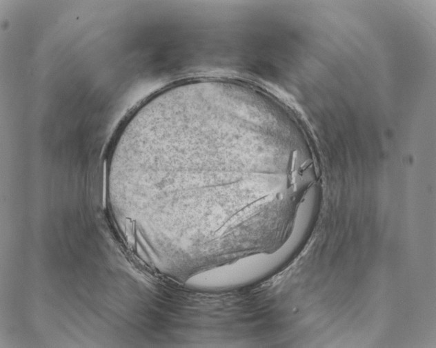 X0000088361223200706121047