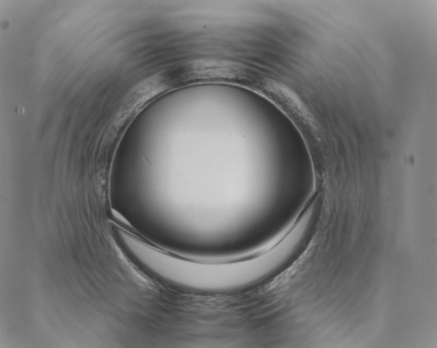 X0000088361225200706121047