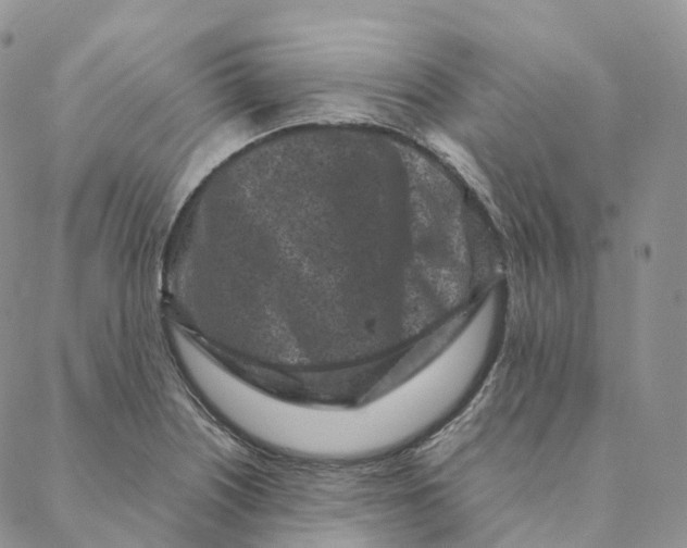 X0000088361226200706121047