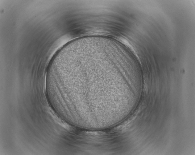 X0000088361227200706121047