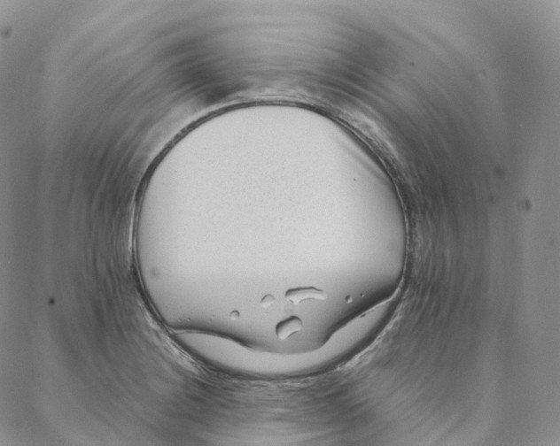 X0000088361228200706121047