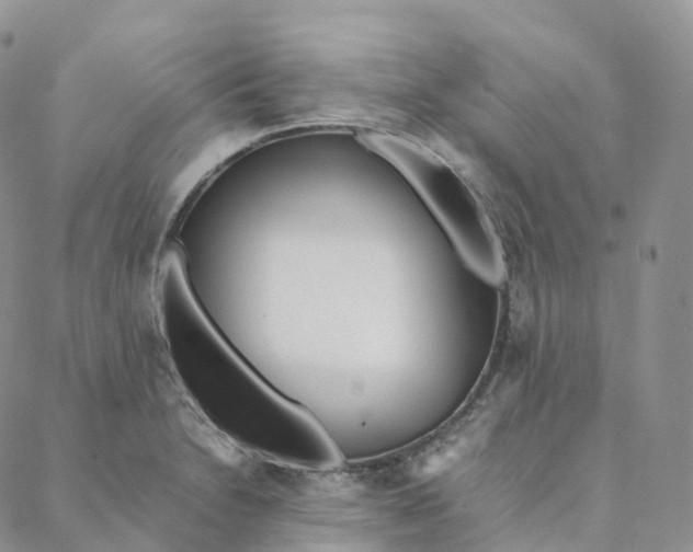 X0000088361230200706121047