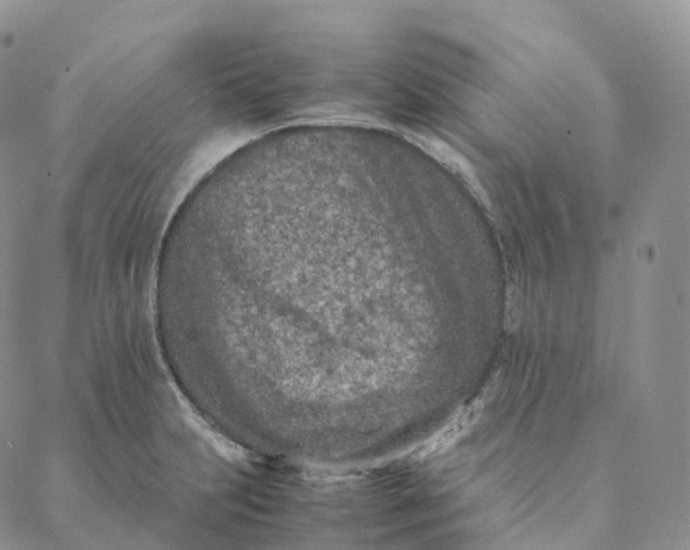 X0000088361231200706121047