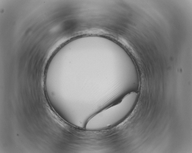 X0000088361232200706121047