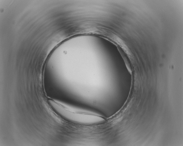 X0000088361234200706121047