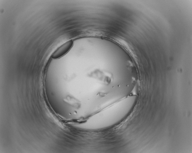 X0000088361235200706121047