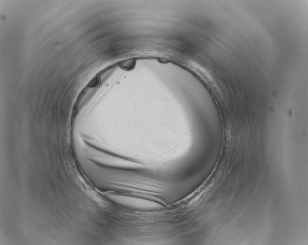 X0000088361236200706121047