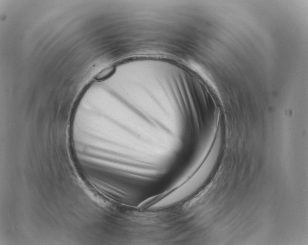 X0000088361237200706121047