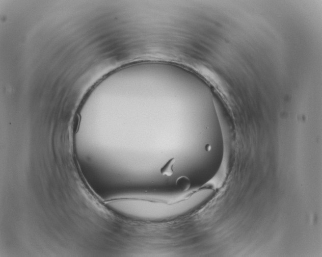 X0000088361238200706121047