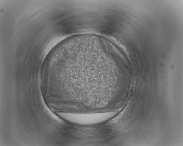 X0000088361239200706121047